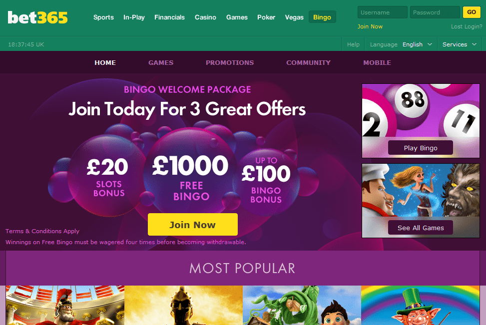 Bet365 Bingo Free