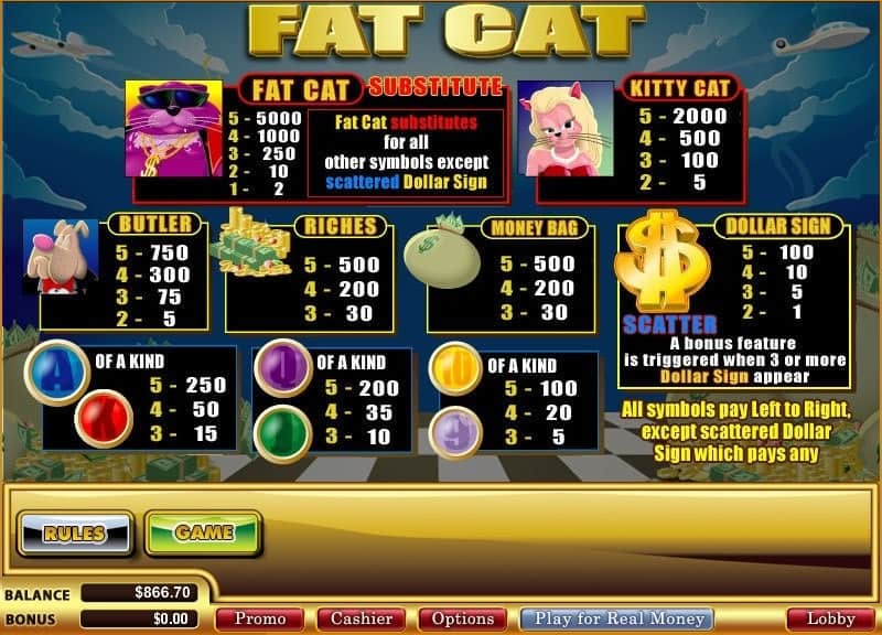 fat cat wgs technology