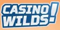 Casino Wilds logo