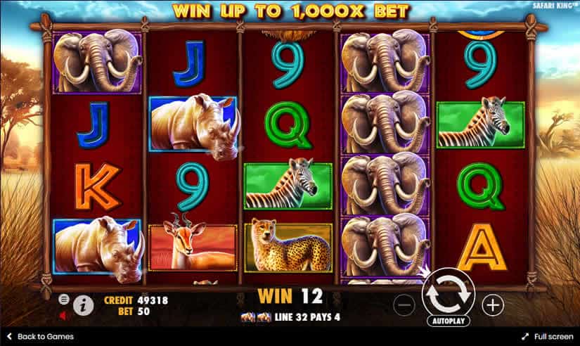 Safari King Slot Win by Pragmatic Play