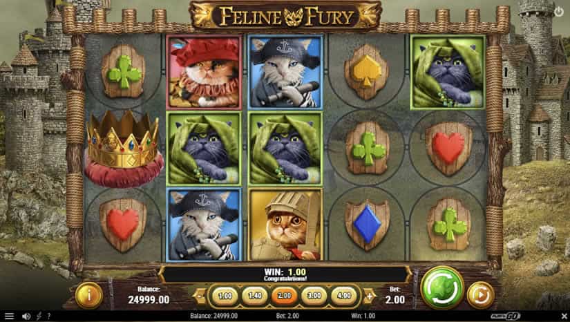 Feline Fury slot by Play'N Go: One of the best slots to play in October 2020.